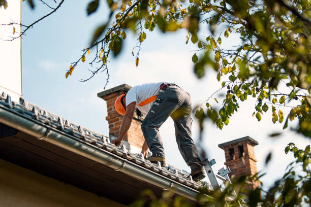 Best Storm Damage Roof Repair  in St Peter, WI