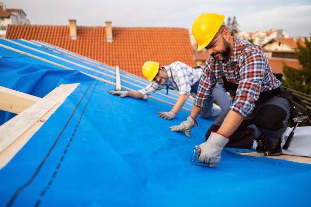 Best Roof Moss and Algae Removal  in St Peter, WI