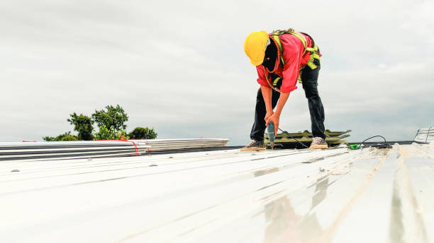 Best Roof Coating and Sealing  in St Peter, WI